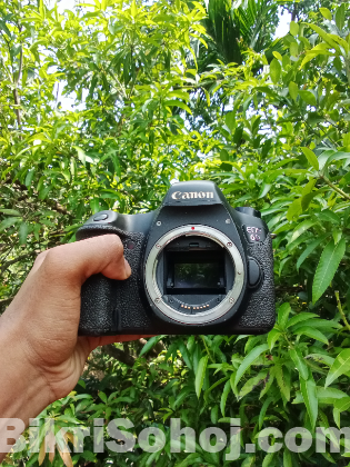 Canon 6d & 50mm f1.8 & 85mm f1.8